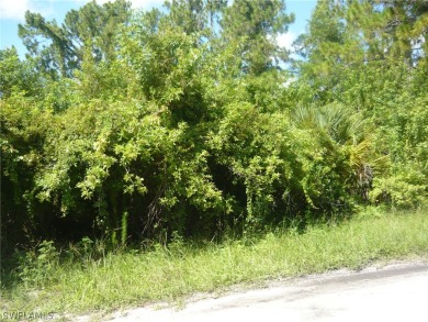 Beach Lot For Sale in Lehigh Acres, Florida