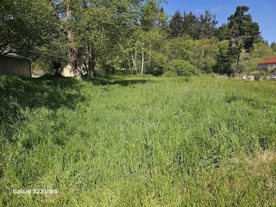Beach Lot For Sale in Crescent City, California