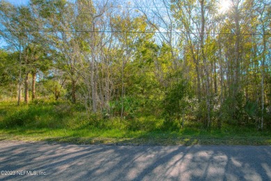 Beach Lot For Sale in ST Augustine, Florida