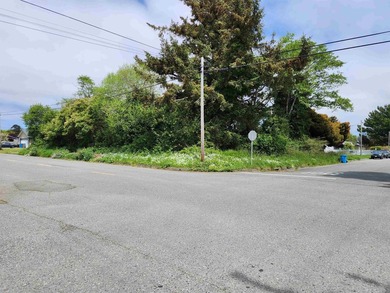 Beach Lot For Sale in Crescent City, California