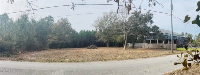 Beach Lot For Sale in Pass Christian, Mississippi