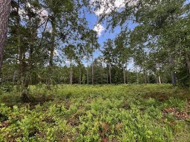 Beach Lot For Sale in Brunswick, Georgia