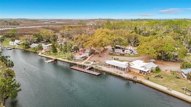 Beach Lot For Sale in Weeki Wachee, Florida