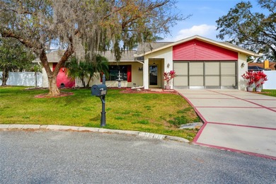 Beach Home Sale Pending in Land O Lakes, Florida