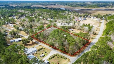 Beach Lot For Sale in Townsend, Georgia