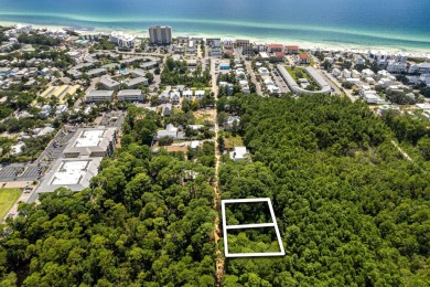 Beach Lot For Sale in Santa Rosa Beach, Florida