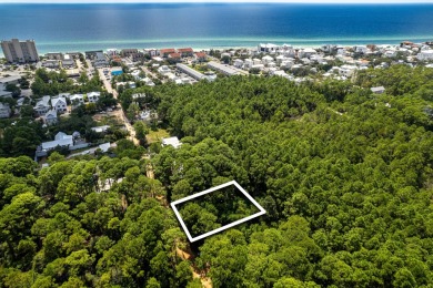 Beach Lot For Sale in Santa Rosa Beach, Florida