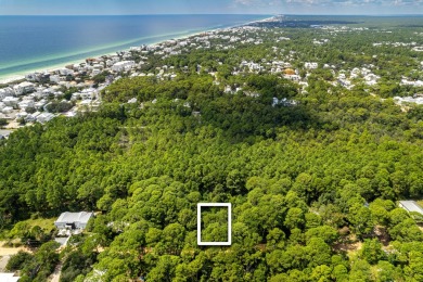 Beach Lot For Sale in Santa Rosa Beach, Florida