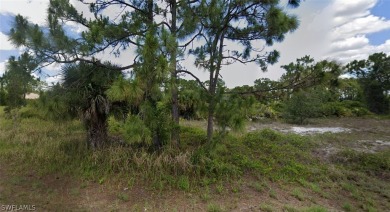 Beach Lot For Sale in Lehigh Acres, Florida