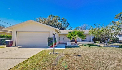 Beach Home For Sale in Palm Coast, Florida