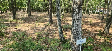 Beach Lot Active Under Contract in Holden Beach, North Carolina