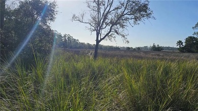 Beach Lot For Sale in Brunswick, Georgia