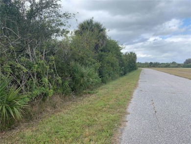 Beach Lot For Sale in Port Charlotte, Florida