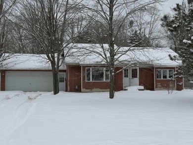 Beach Home For Sale in Alanson, Michigan