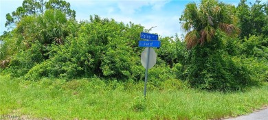 Beach Lot For Sale in Lehigh Acres, Florida