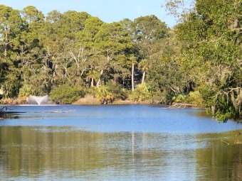 Beach Lot Off Market in Fripp Island, South Carolina