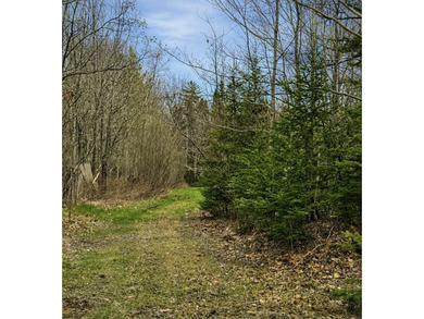 Beach Acreage For Sale in Trenton, Maine