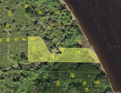 Beach Lot For Sale in Punta Gorda, Florida