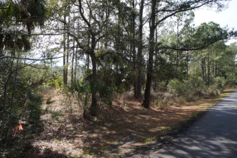 Beach Lot Off Market in Okatie, South Carolina