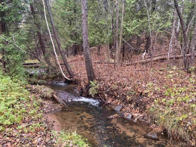 Beach Acreage For Sale in Marquette, Michigan
