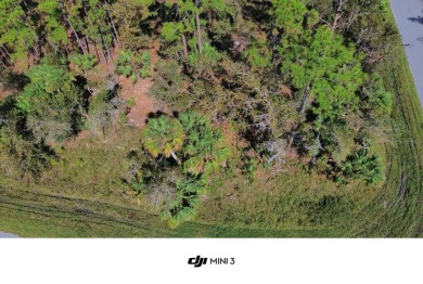 Beach Lot For Sale in Port Charlotte, Florida