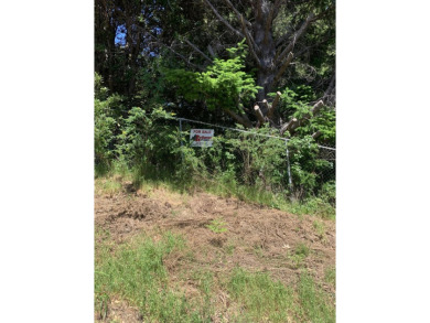 Beach Lot For Sale in Shelter Cove, California