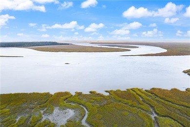 Beach Lot For Sale in Townsend, Georgia