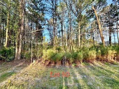 Beach Lot For Sale in Waverly, Georgia