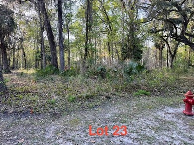 Beach Lot For Sale in Waverly, Georgia