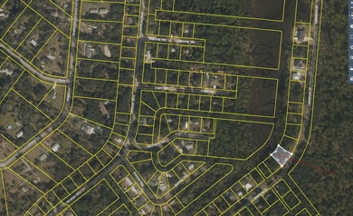 Beach Lot For Sale in St Augustine, Florida