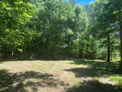 Beach Acreage For Sale in Bloxom, Virginia