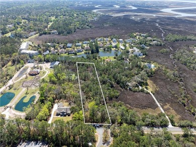 Beach Acreage For Sale in Saint Simons, Georgia
