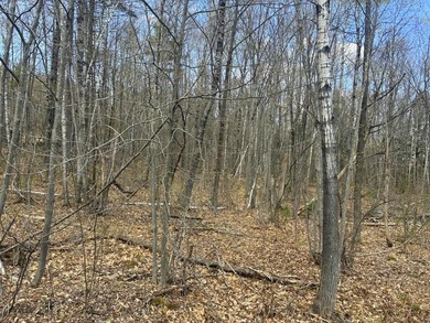 Beach Acreage For Sale in Wilton, Maine