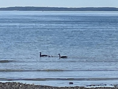 Beach Home For Sale in Bois Blanc Island, Michigan