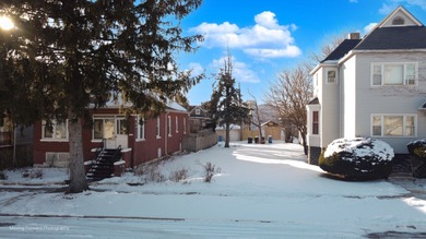 Lot For Sale in Chicago image photo picture