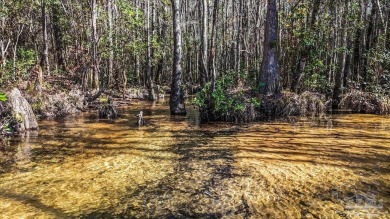 Beach Acreage For Sale in Pace, Florida