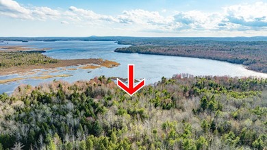 Beach Acreage For Sale in Ellsworth, Maine
