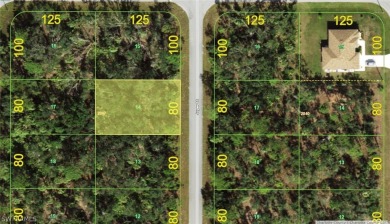 Beach Lot For Sale in Port Charlotte, Florida