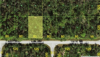 Beach Lot For Sale in Port Charlotte, Florida