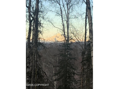 Acreage For Sale in Soldotna image photo picture
