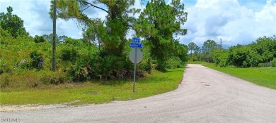 Beach Lot For Sale in Lehigh Acres, Florida