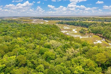 Beach Acreage For Sale in Darien, Georgia