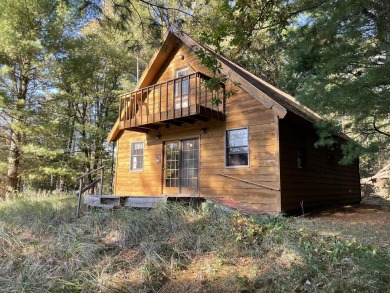 Beach Home For Sale in Free Soil, Michigan