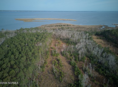 Beach Acreage Sale Pending in Havelock, North Carolina