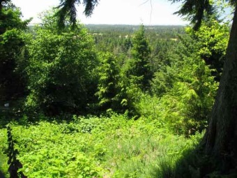 Beach Lot For Sale in Florence, Oregon