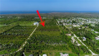 Beach Acreage For Sale in Bokeelia, Florida