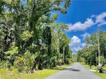 Beach Lot Off Market in Crystal River, Florida