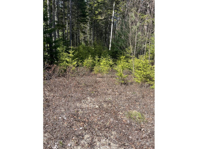 Beach Acreage For Sale in Steuben, Maine