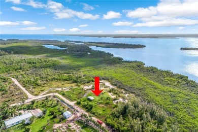 Beach Acreage For Sale in Bokeelia, Florida