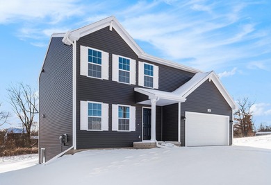 Beach Home For Sale in Bridgman, Michigan